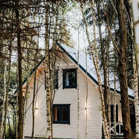 Swierkowisko Cisza Plaza Blisko