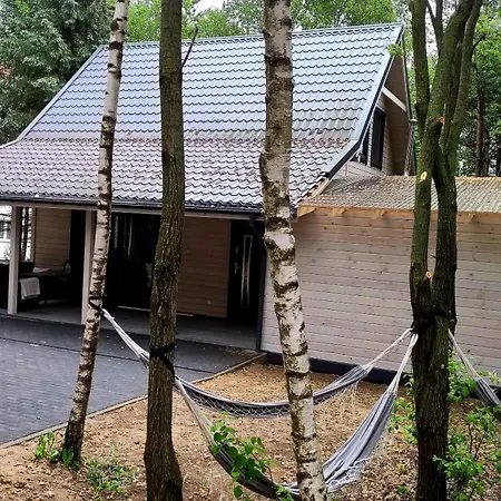 Swierkowisko Cisza Plaza Blisko *