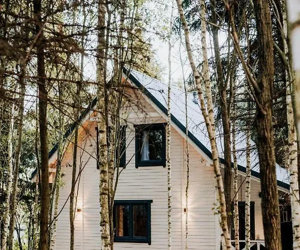 Swierkowisko Cisza Plaza Blisko